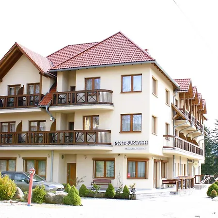 Pod Bukami - Chill&spa Гостевой дом 3*