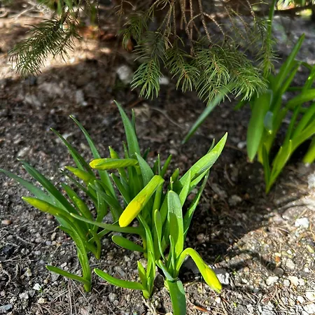 Pod Bukami - Chill&spa Гостевой дом 3*