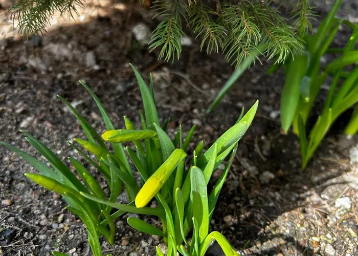 Pod Bukami - Chill&spa Πανσιόν 3*